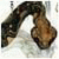 CahPauraBag